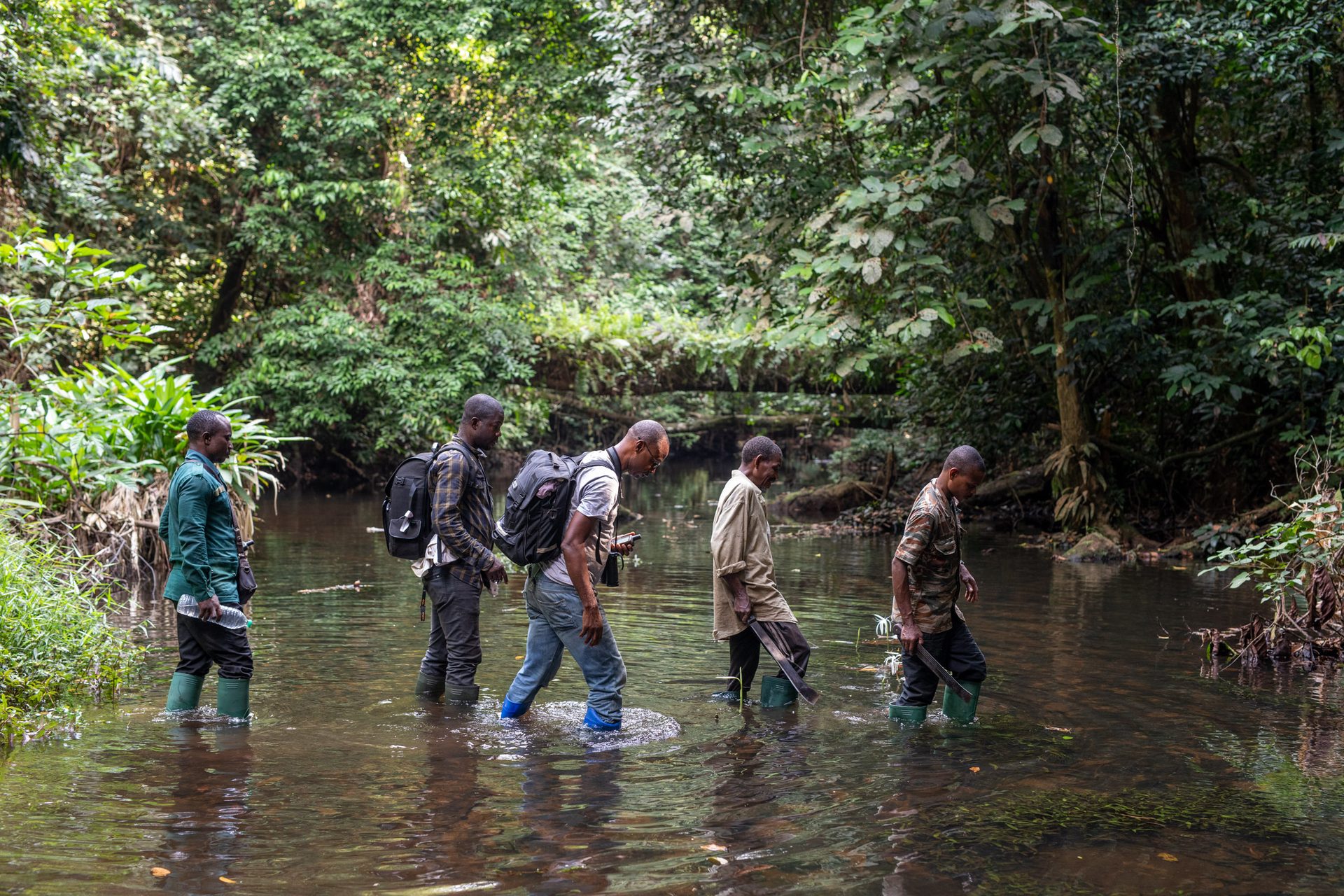 The EBO-SURSY Project aims at helping countries grow more prepared facing diseases originating from wildlife, such as Ebola.