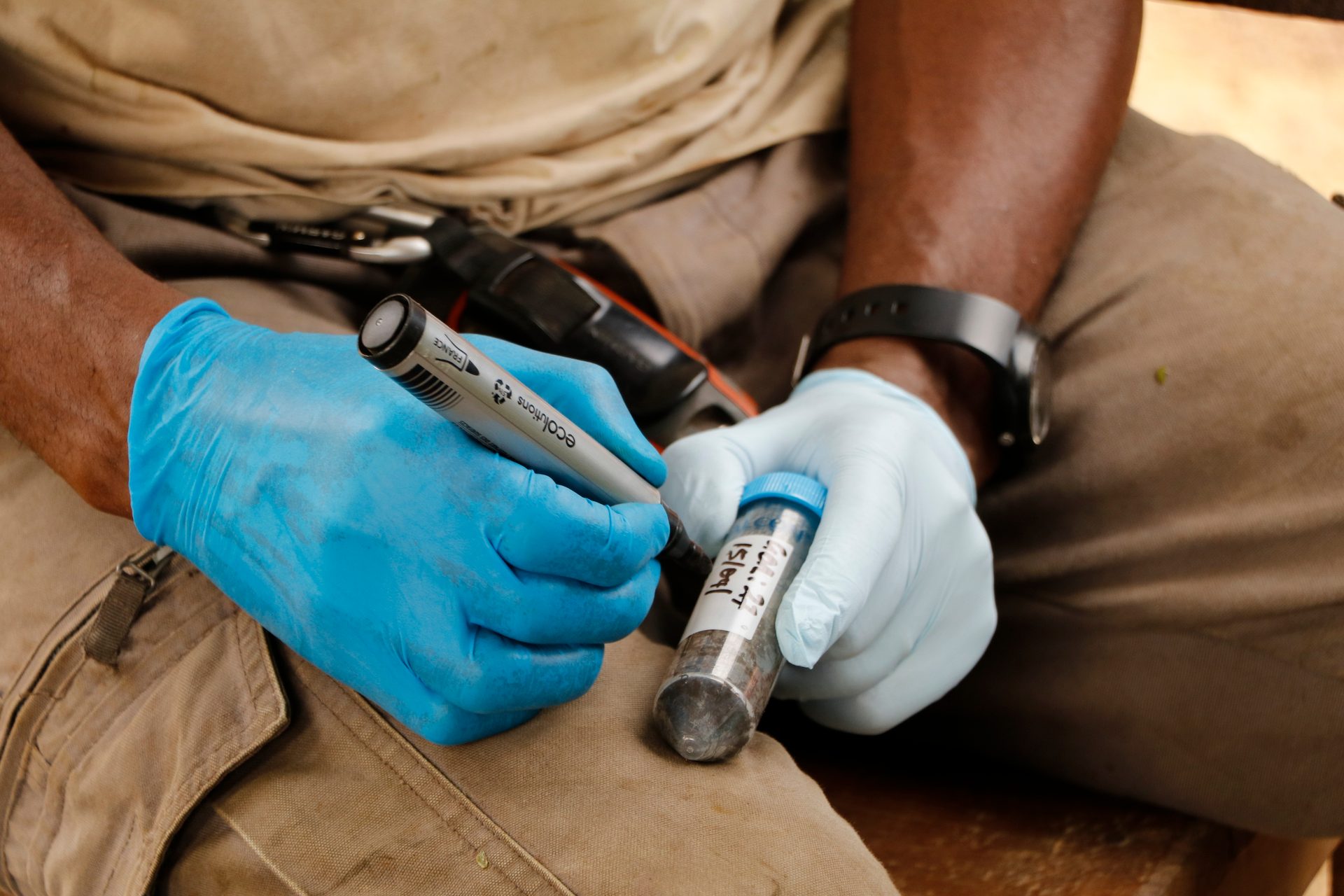 A scientist samples wildlife feces in Cameroon.