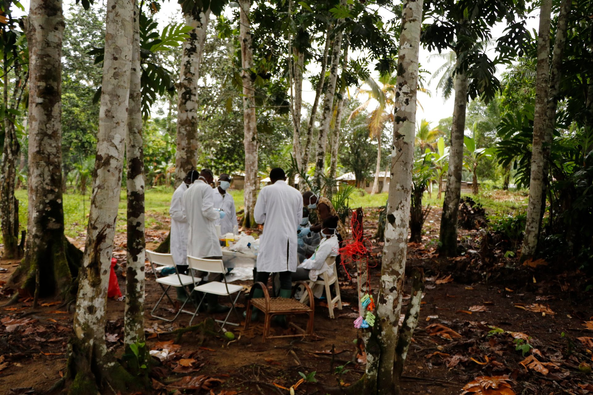 Scientists process samples taken from bats and other wildlife to study Ebola.