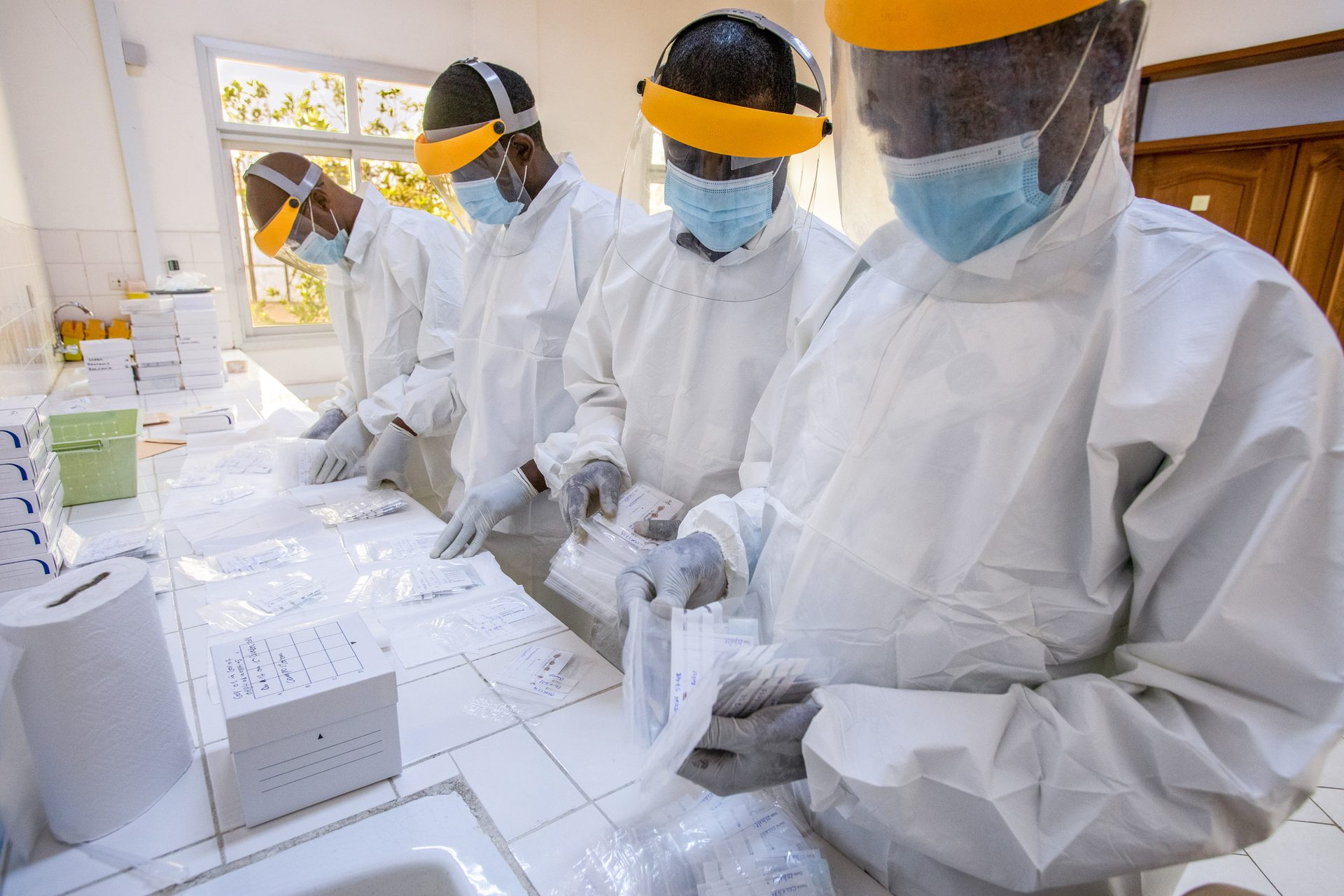 Lab workers in Yaoundé process wildlife samples.